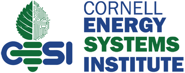 CESI logo