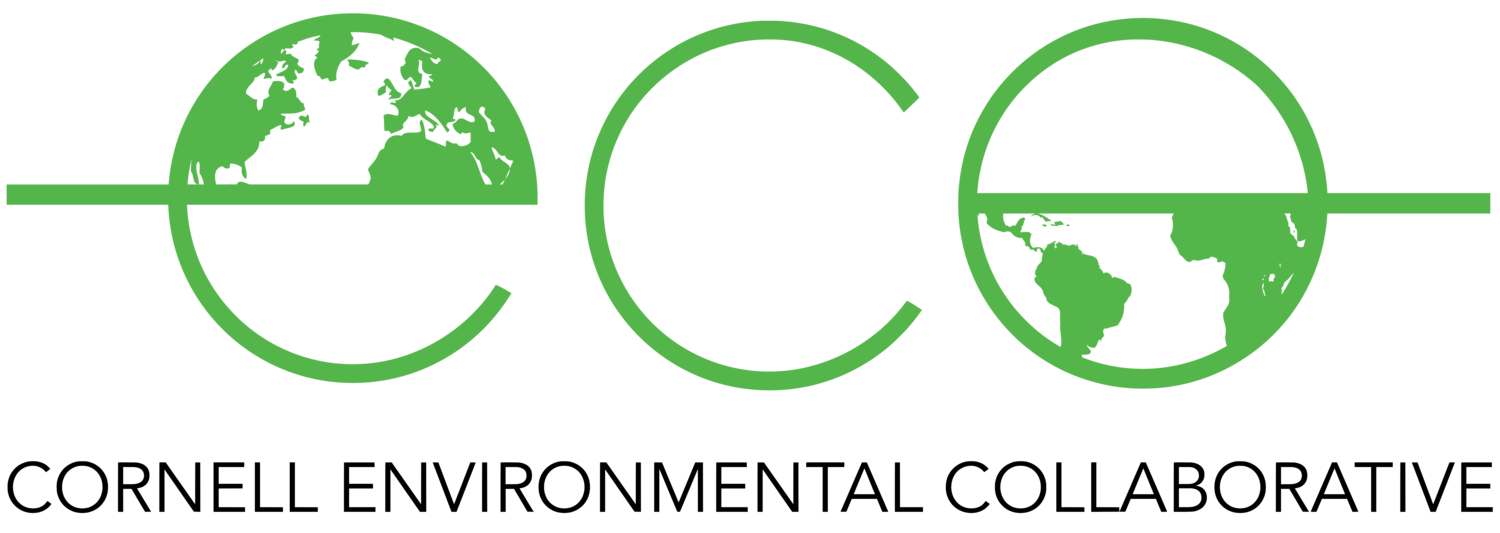 ECO logo