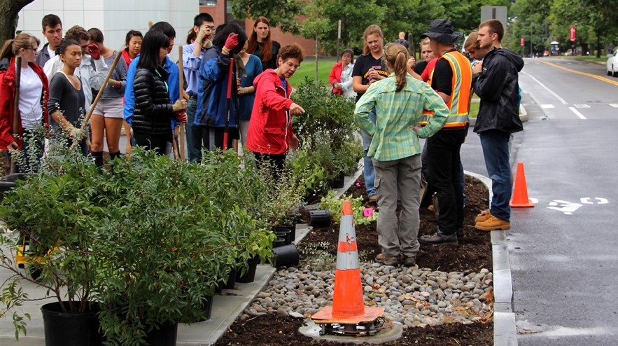 Professor and students on Tower Road bioswales