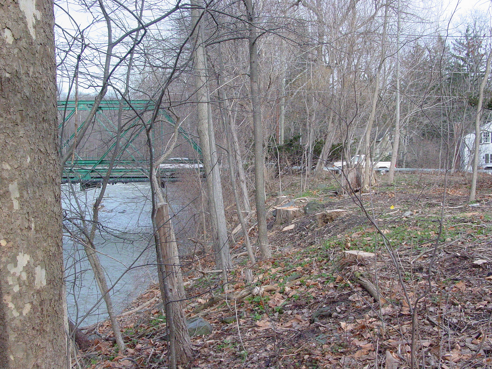 Area cleared of invasive plants in the Mundy Wildflower Garden.” 