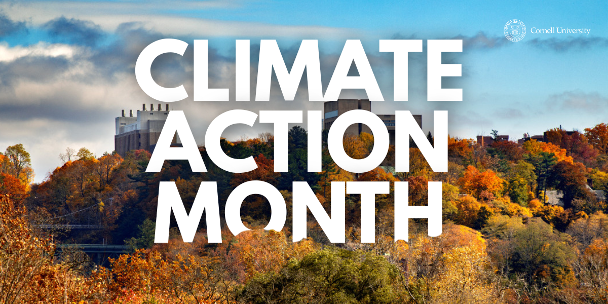 Aerial of Cornell Campus 