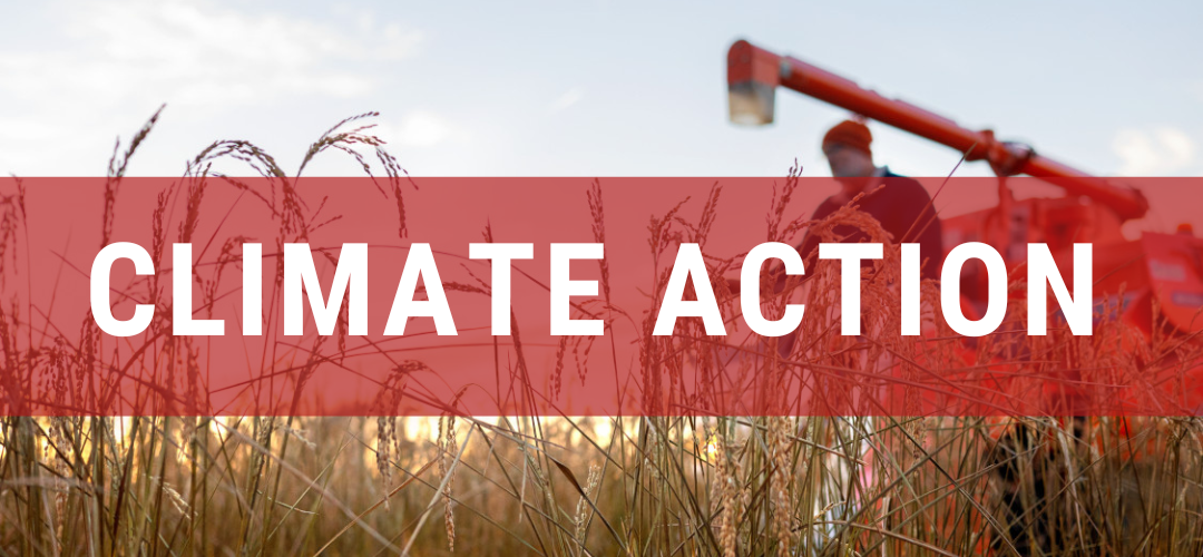 Climate Action Section with background image of a person in a field -