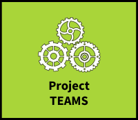 Project Teams