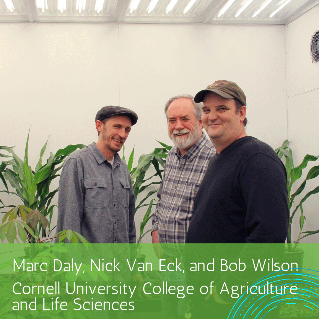 arc Daly, Nick Van Eck,  and Bob Wilson 