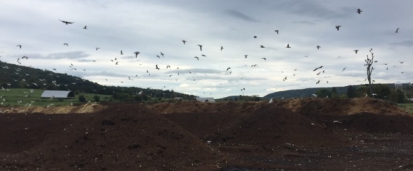 Cornell's Compost Facility