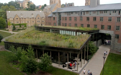 Alice Cook house on West Campus