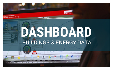Building Energy Dashboard