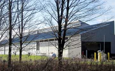 The teaching dairy barn behind a tree