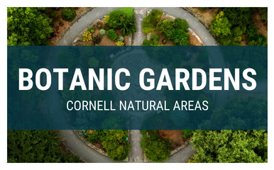 Cornell Botanic Gardens