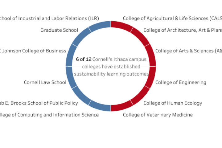 Learning Outcomes Image