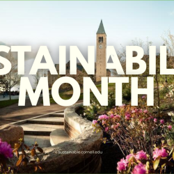 Sustainability Month text over a photo of Cornell  Clock tower