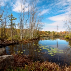 a view of Beebe Lake on a sunny day