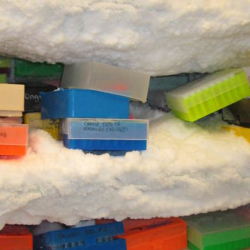 Ice build-up blocks access to samples, indicates a leak gasket, or inhibits freezer performance