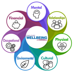 Seven interlocking areas of wellbeing.  Description provided in first paragraph on this page.