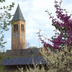 Campus Store rooftop solar panels