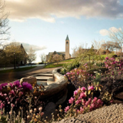 Image of campus in Spring