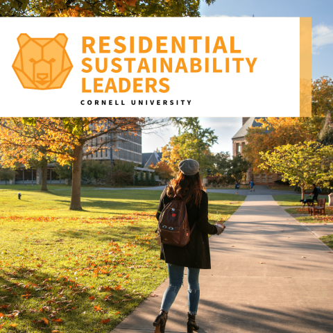 RSL logo over a student walking towards the clock tower