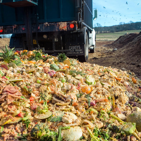 compost-winrow