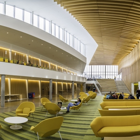 Windows high above the new entrance bathes the new atrium at the College of Veterinary Medicine in natural light.