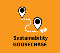 Goosechase