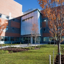 Entrance to the Diagnostic Laboratory tucked between newly planted trees.