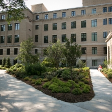 Landscaping outside of Warren Hall
