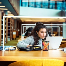 A student studies in the newly renovated Vet School library