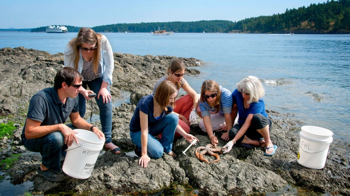Drew Harvell, far right, professor of ecology and evolutionary biology and former Cornell Atkinson faculty director, examines starfish with students at Friday Harbor Labs on the coast of Washington state in 2014.