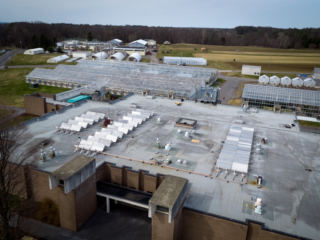 solar collector system on roof of Guterman lab