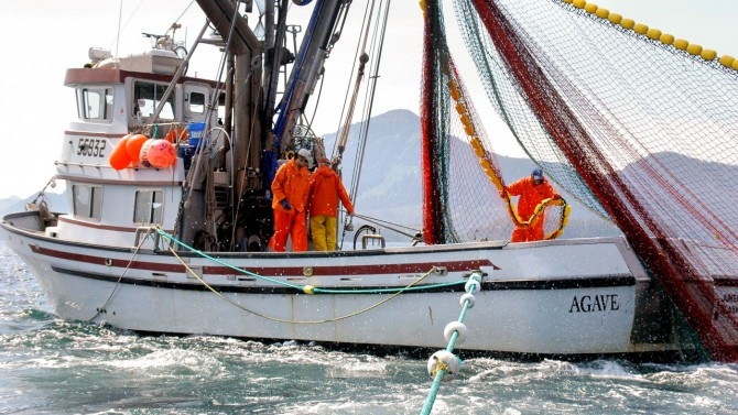 Suresh Sethi, right, assistant professor of natural resources and the environment, researches optimal fishing policies in Alaska in the face of climate change. The project was funded in 2020 by Cornell Atkinson’s Innovation for Impact Fund and The Nature Conservancy.