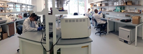 Researchers working at a lab bench in engineering assistant professor Ankur Singh’s laboratory space in Kimball Hall.